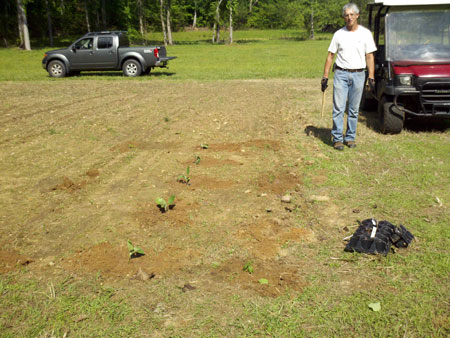 garden2-sm Planning the garden at The Bluffs