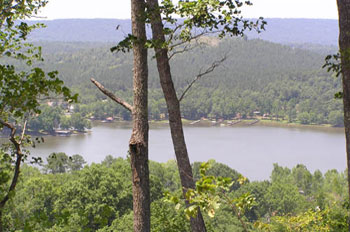 Weiss Lake Property at The Bluffs
