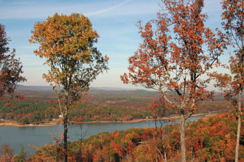 Weiss Lake Real Estate in the Fall