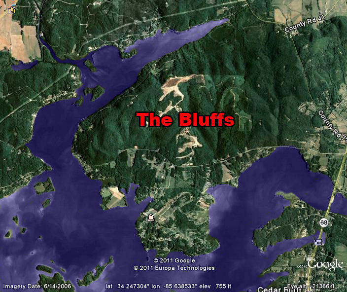 Satellite Image of The Bluffs